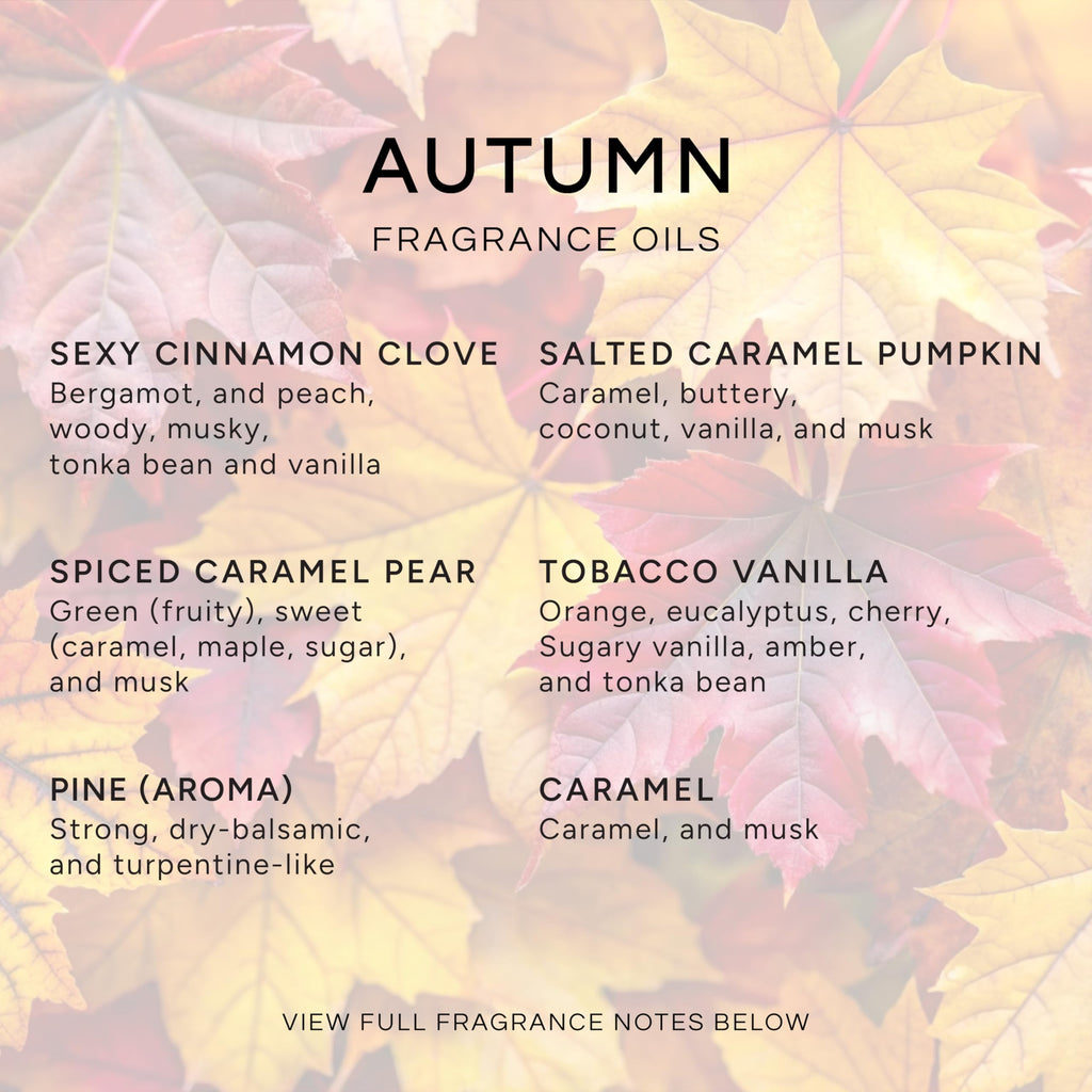 Eternal Essence Oils Autumn Set – 6 Premium Fragrance Oils 10ML