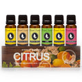 Eternal Essence Oils Citrus Set of 6 – Premium Fragrance Oils (10ml) for Diffusers, Candles, Soaps & Aromatherapy