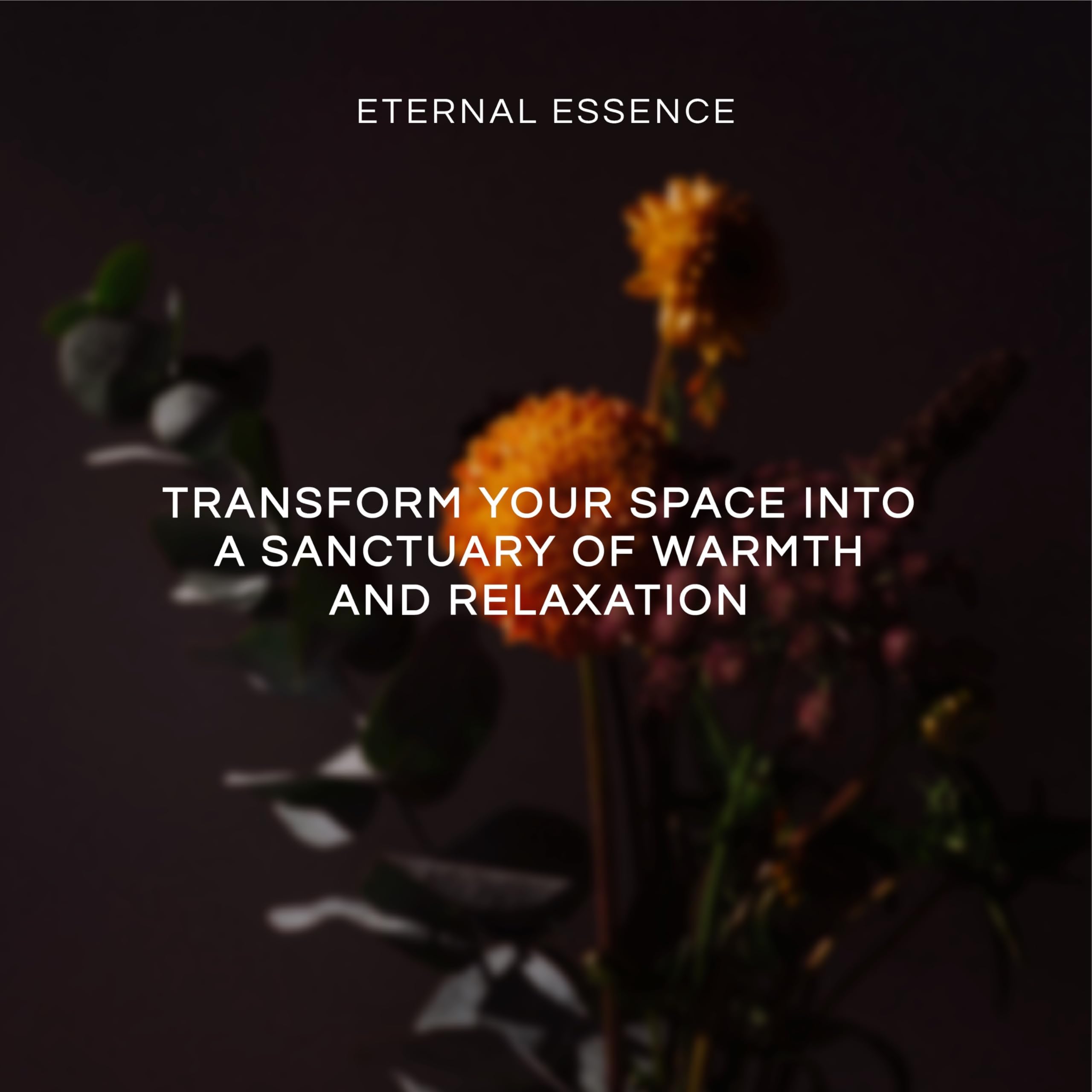 Eternal Essence Oils 2 Pack 10ml – Black Oak Currant & Cabernet Neroli