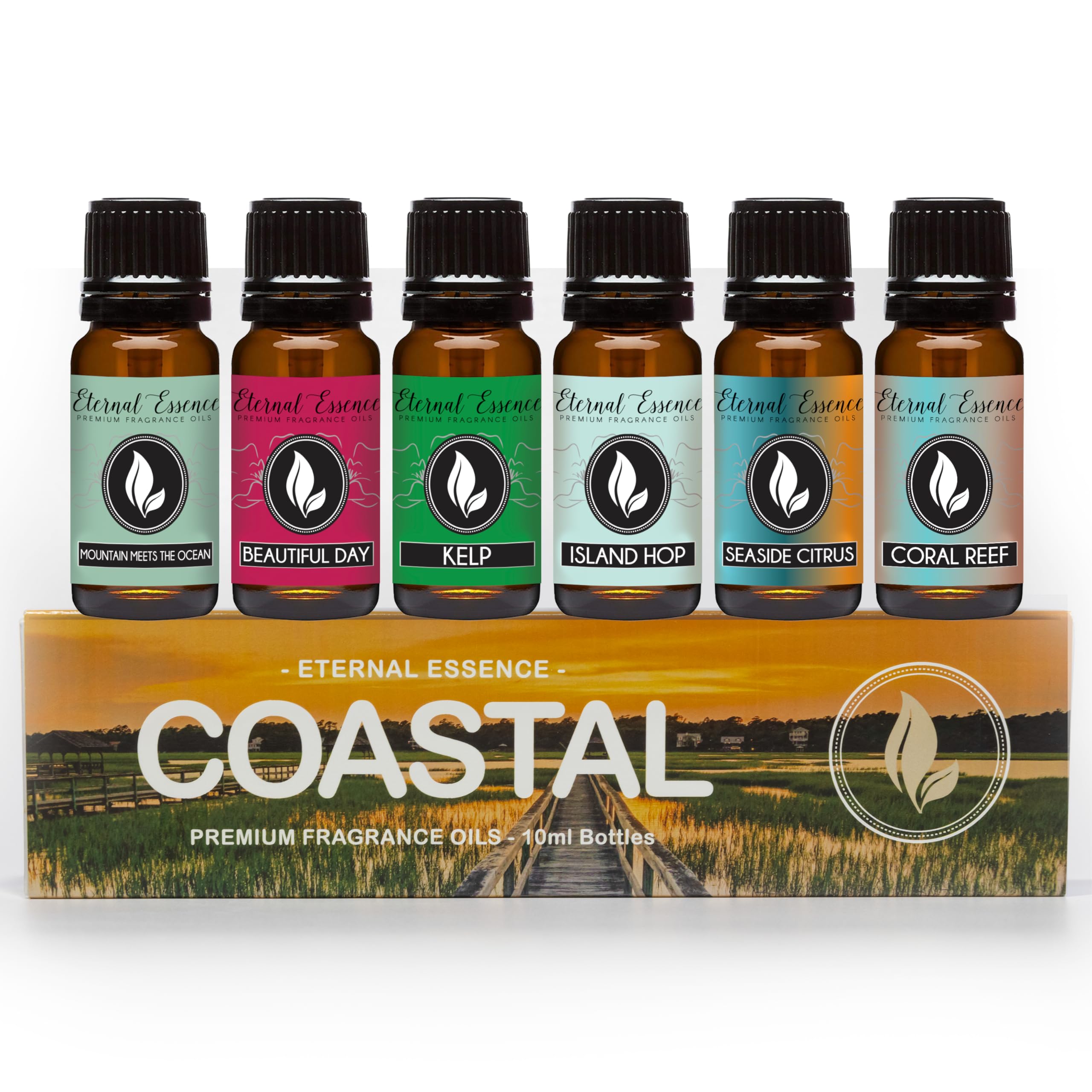 Coastal Set of 6 Premium Fragrance Oils - Eternal Essence Oils 10ml