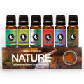 Nature Set of 6 Premium Fragrance Oils (10ml) by Eternal Essence Oils for Diffusers, Candles & Soaps