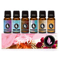 Spa Day Set of 6 Premium Fragrance Oils – Eternal Essence Oils (10ml each)