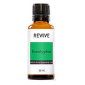 Eucalyptus Essential Oil 30mL by Revive Essential Oils – 100% Pure Therapeutic Grade