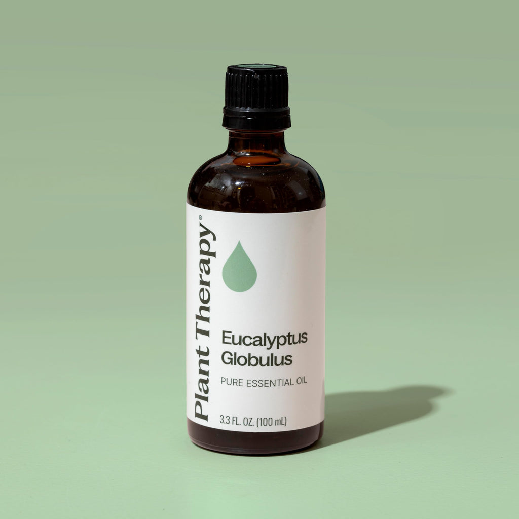 Plant Therapy Eucalyptus Globulus Essential Oil 100 mL (3.3 oz) | Pure & Therapeutic