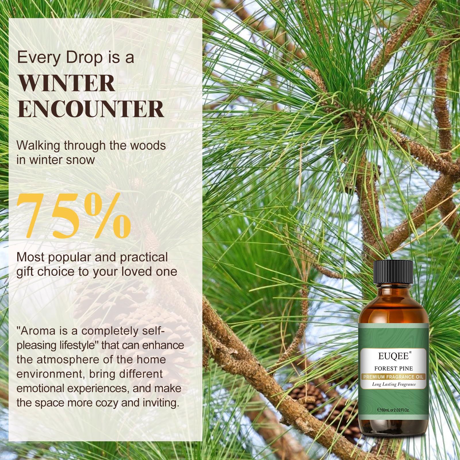 EUQEE Forest Pine Fragrance Oil – Premium 60ml / 2.02 fl oz with Glass Dropper | Diffusers, Candles, Soaps