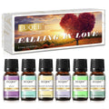 EUQEE Premium Floral Fragrance Oils Set 6x10ml – Diffuser & DIY Candle