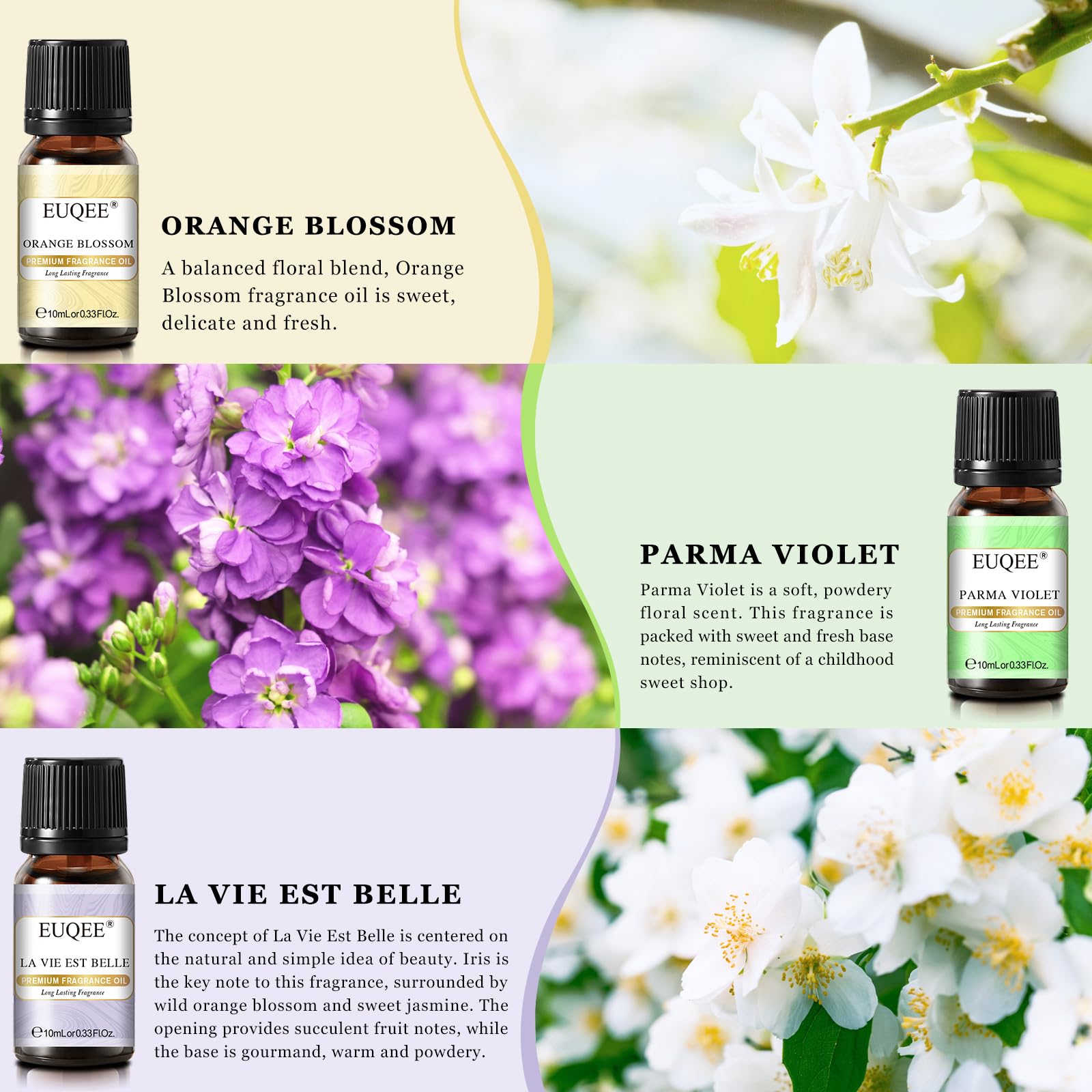 EUQEE Premium Floral Fragrance Oils Set 6x10ml – Diffuser & DIY Candle