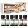 EUQEE Fragrance Oils Gift Set - Premium Woody Scents 6x10ml