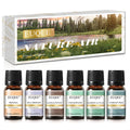 EUQEE Nature Air Premium Grade Scented Oils Gift Set - 6x10ml (Sea Breeze, Freesia, Bamboo & Teak, Cedarwood, Forest Pine, Sandalwood)