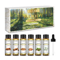 EUQEE 10ml Woody Essential Oils Set – Pure & Natural Aromatherapy (Eucalyptus, Cedarwood, Sandalwood, Frankincense, Cinnamon, Myrrh)