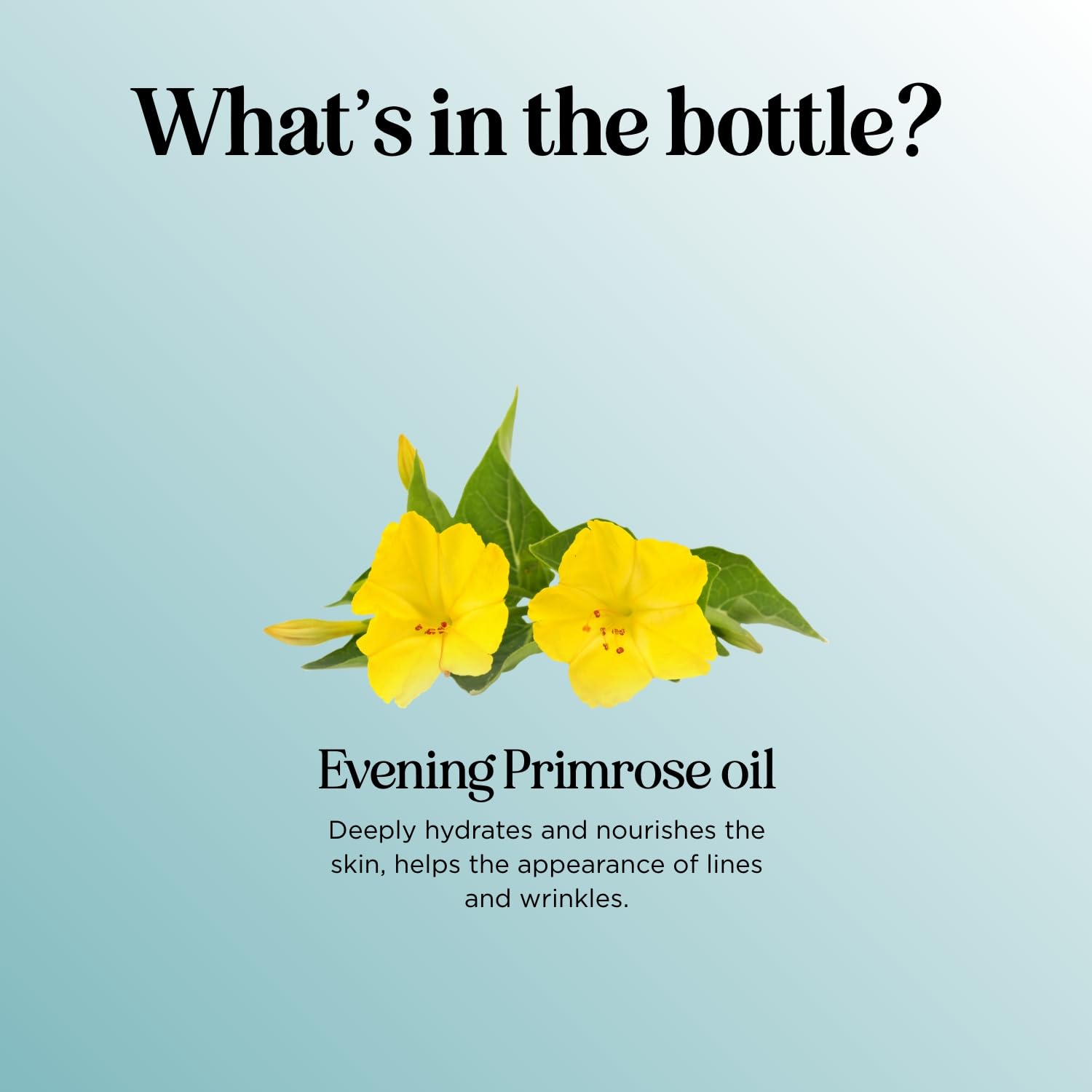 Pure Evening Primrose Oil - Cold-Pressed Skin & Hair Care