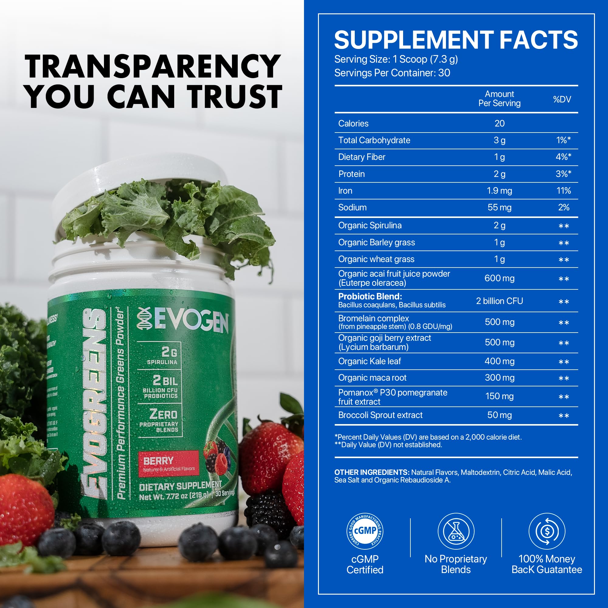 Evogen Evogreens - Super Greens Powder | Recovery, Wellness & Immunity | Berry | 30 Servings
