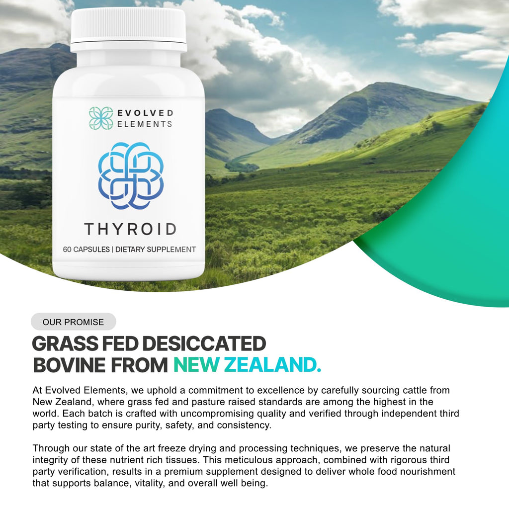Evolved Elements Thyroid – Raw Grass-Fed Desiccated NZ Sourced, 60 Capsules | Non-GMO Energy & Metabolism Support