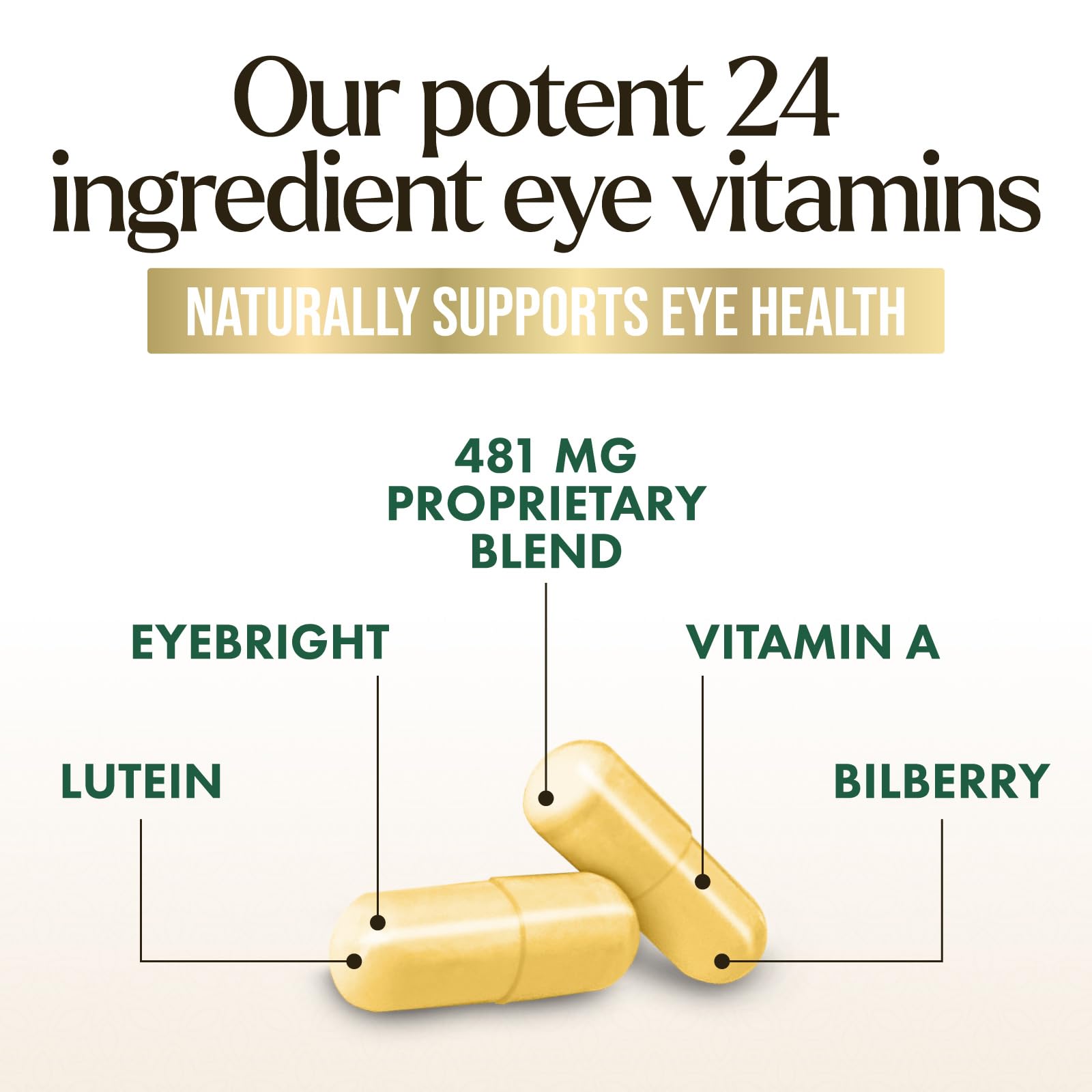 Eye Vitamins & Mineral Supplement – Lutein, Zeaxanthin, Zinc (120 Capsules)