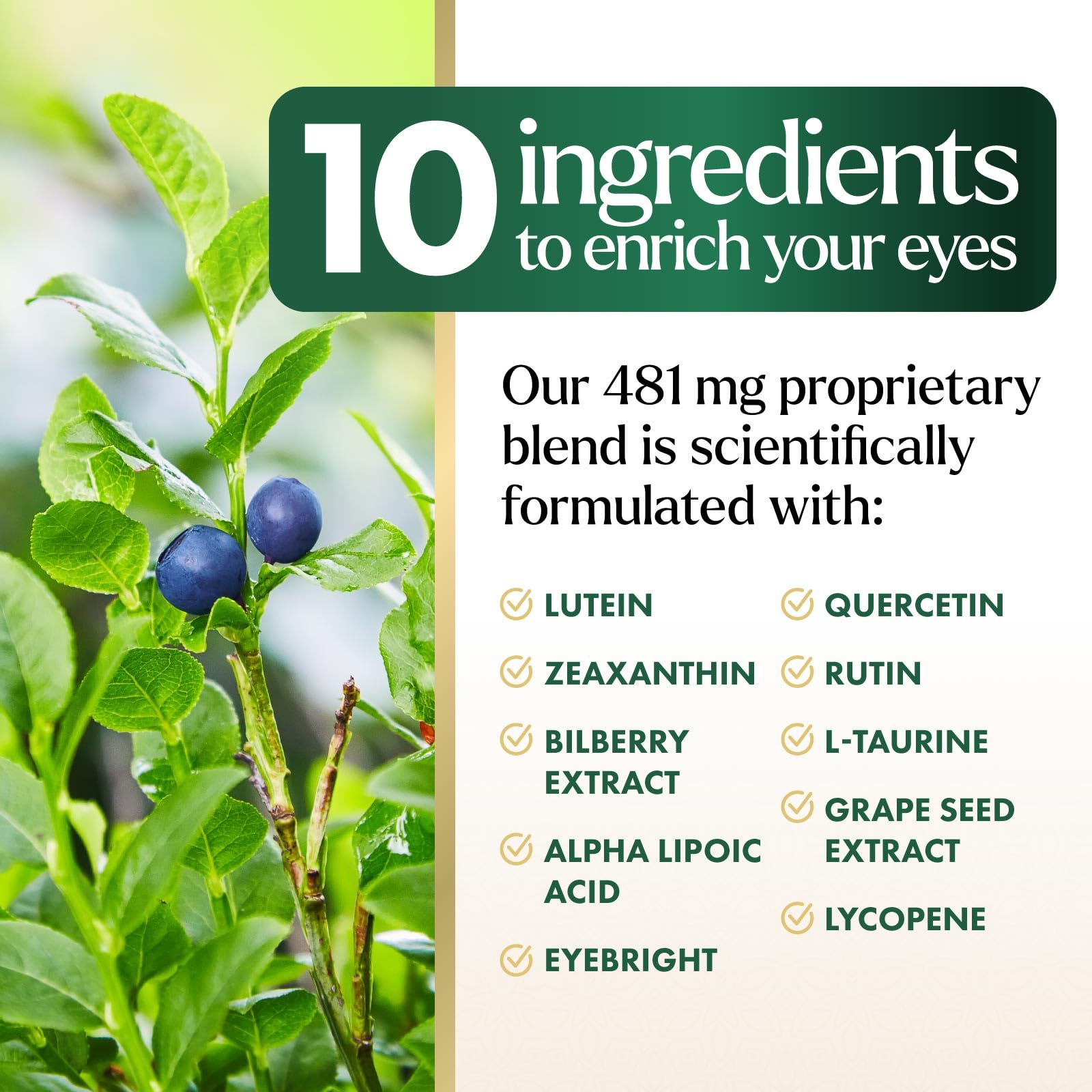 Eye Vitamins & Mineral Supplement – Lutein, Zeaxanthin, Zinc (120 Capsules)