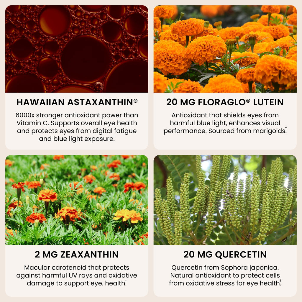 EyeAstin: BioAstin Hawaiian Astaxanthin with Lutein & Zeaxanthin - Supports Eye Health