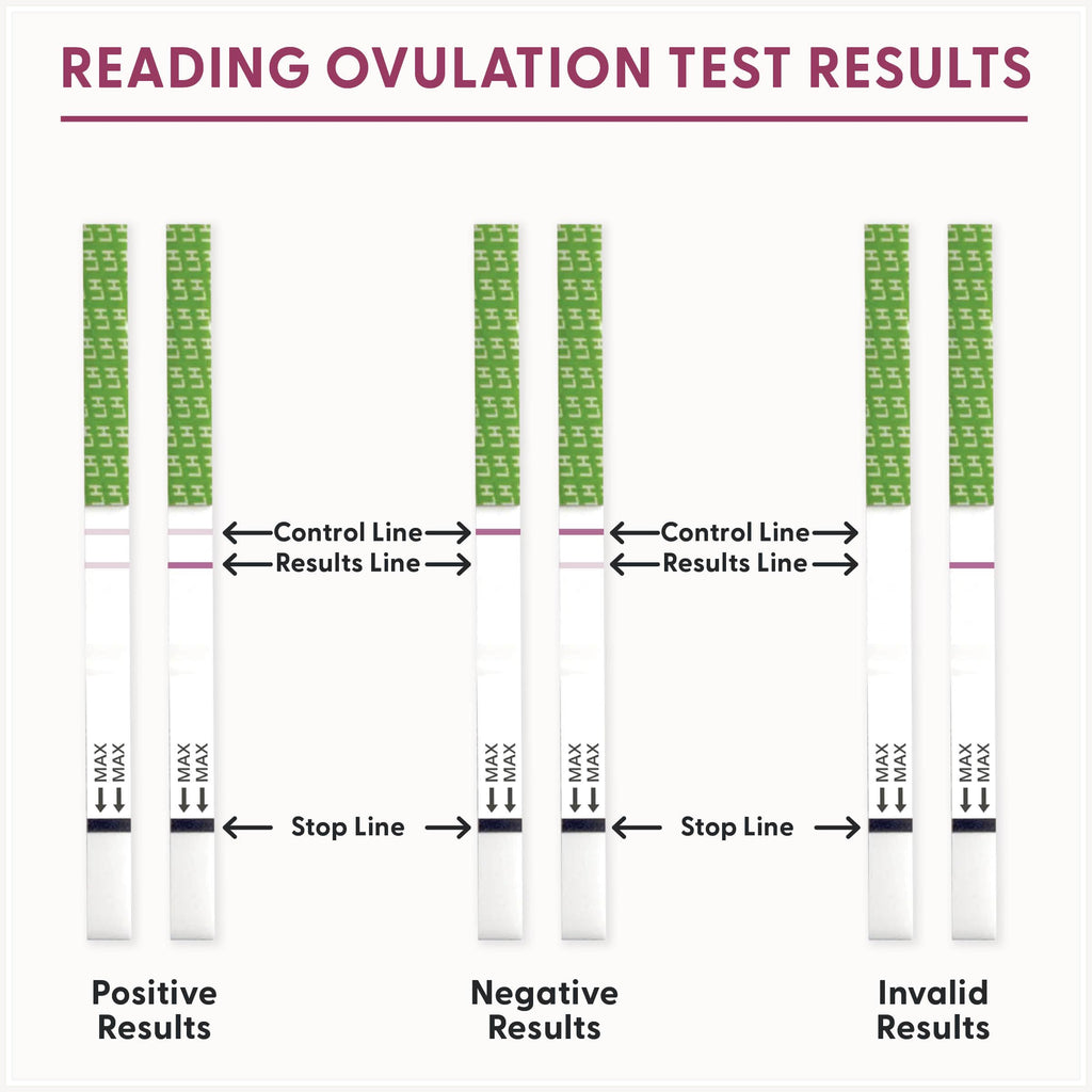 Fairhaven Health BFP Kit - 40 Ovulation & 10 Pregnancy Strips