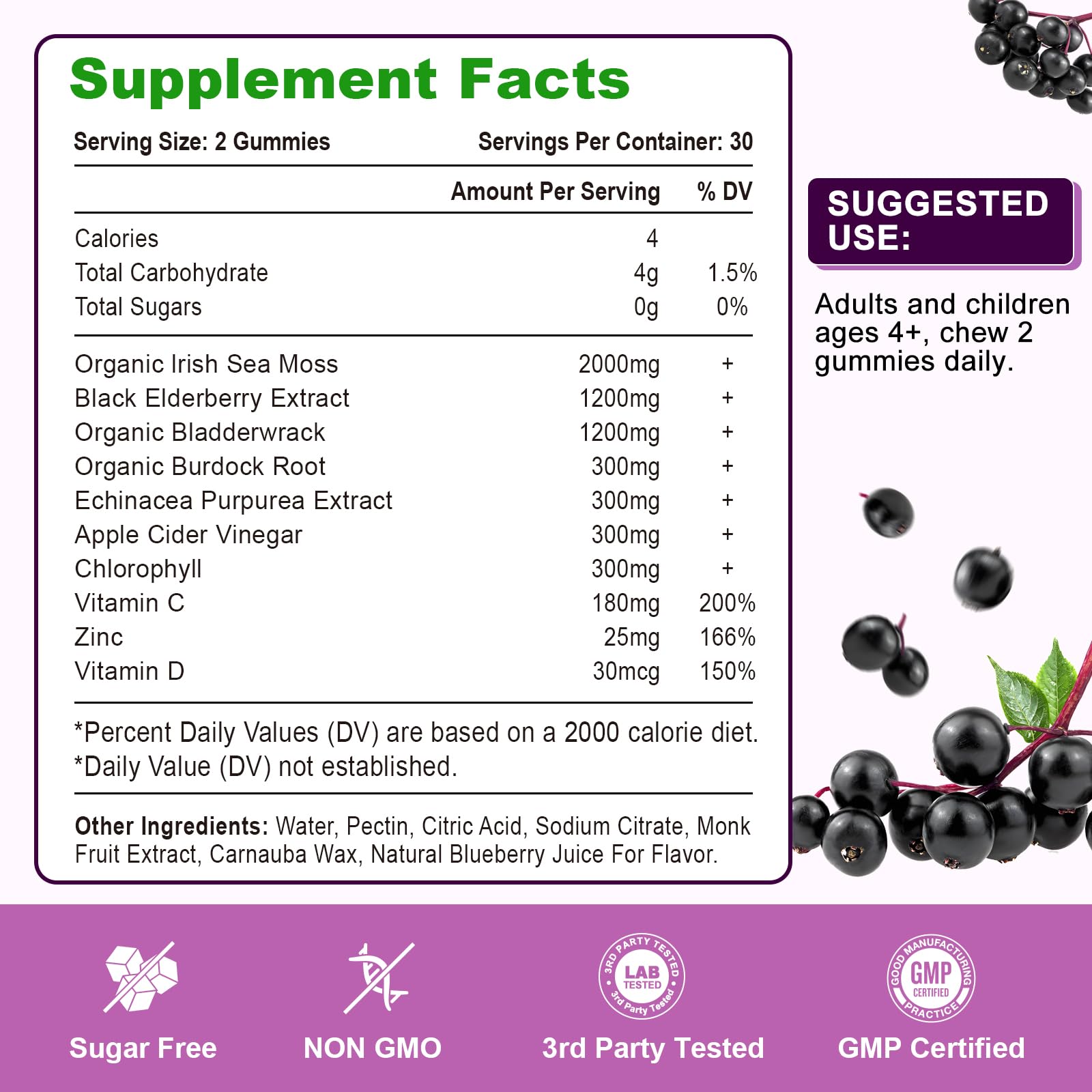2 Pack Elderberry Gummies with Sea Moss – Extra Strength Immune Support, Vitamin C & Zinc, Blueberry Flavor, 120 Count