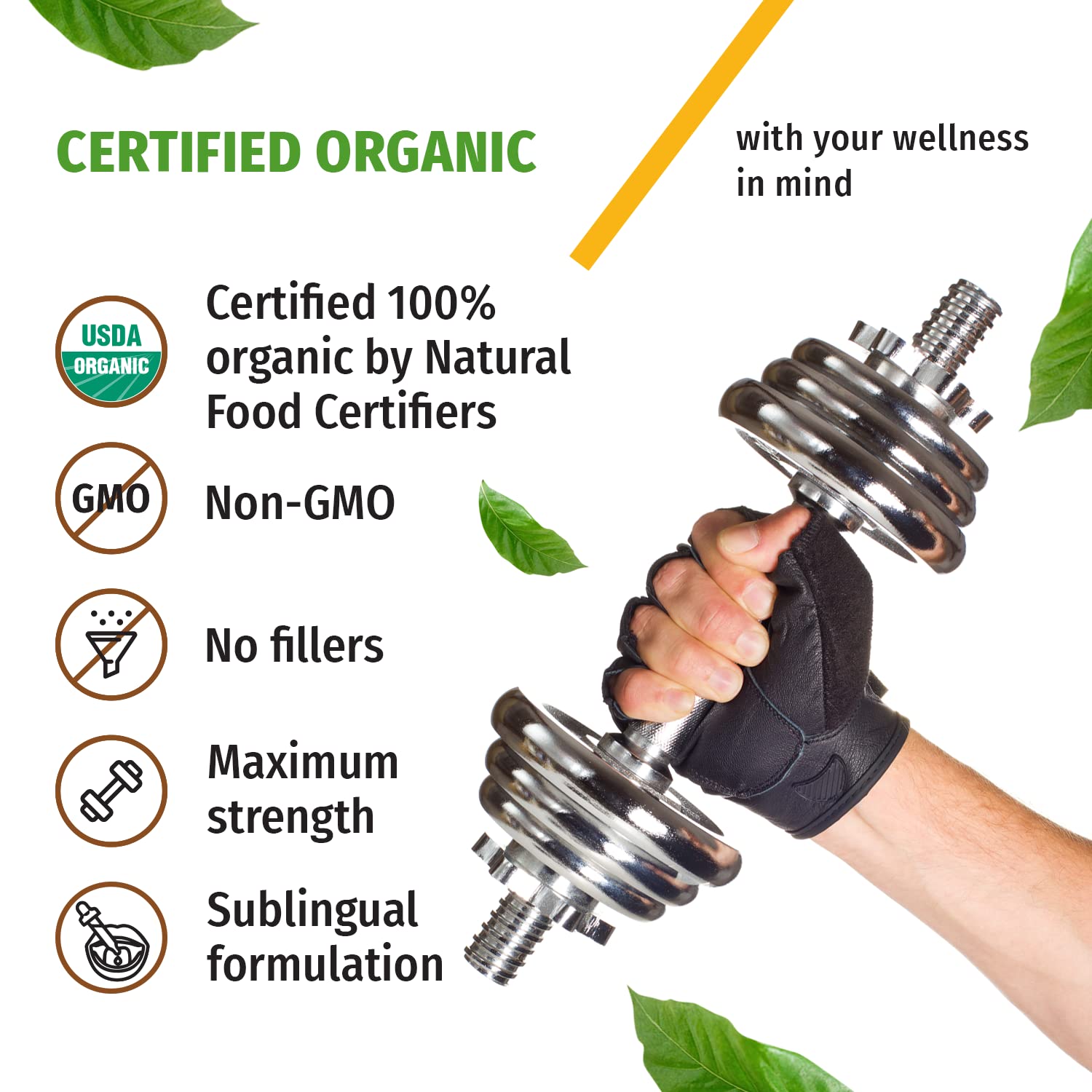 (2 Pack) Organic Vitamin D3 K2 Drops with MCT Oil | 5000 IU, Non-GMO, Vanilla