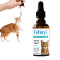 Felisyl L-Lysine for Cats – 2 oz Immune & Respiratory Support (FHV-1) – Made in USA