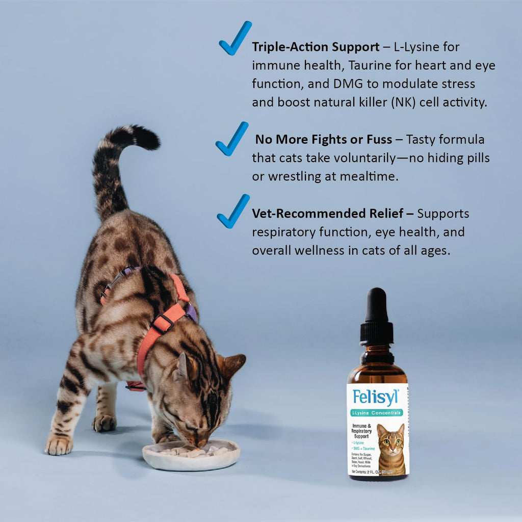 Felisyl L-Lysine for Cats – 2 oz Immune & Respiratory Support (FHV-1) – Made in USA
