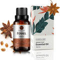 Fennel Essential Oil 30ml – 100% Pure Organic Fennel for Diffuser, Massage & Skin Care