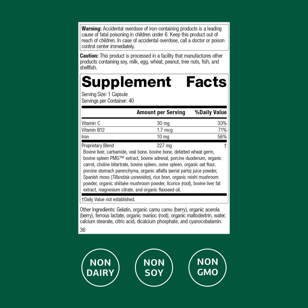 Ferrofood Iron Supplement – Supports Normal Blood Production (40 Capsules)
