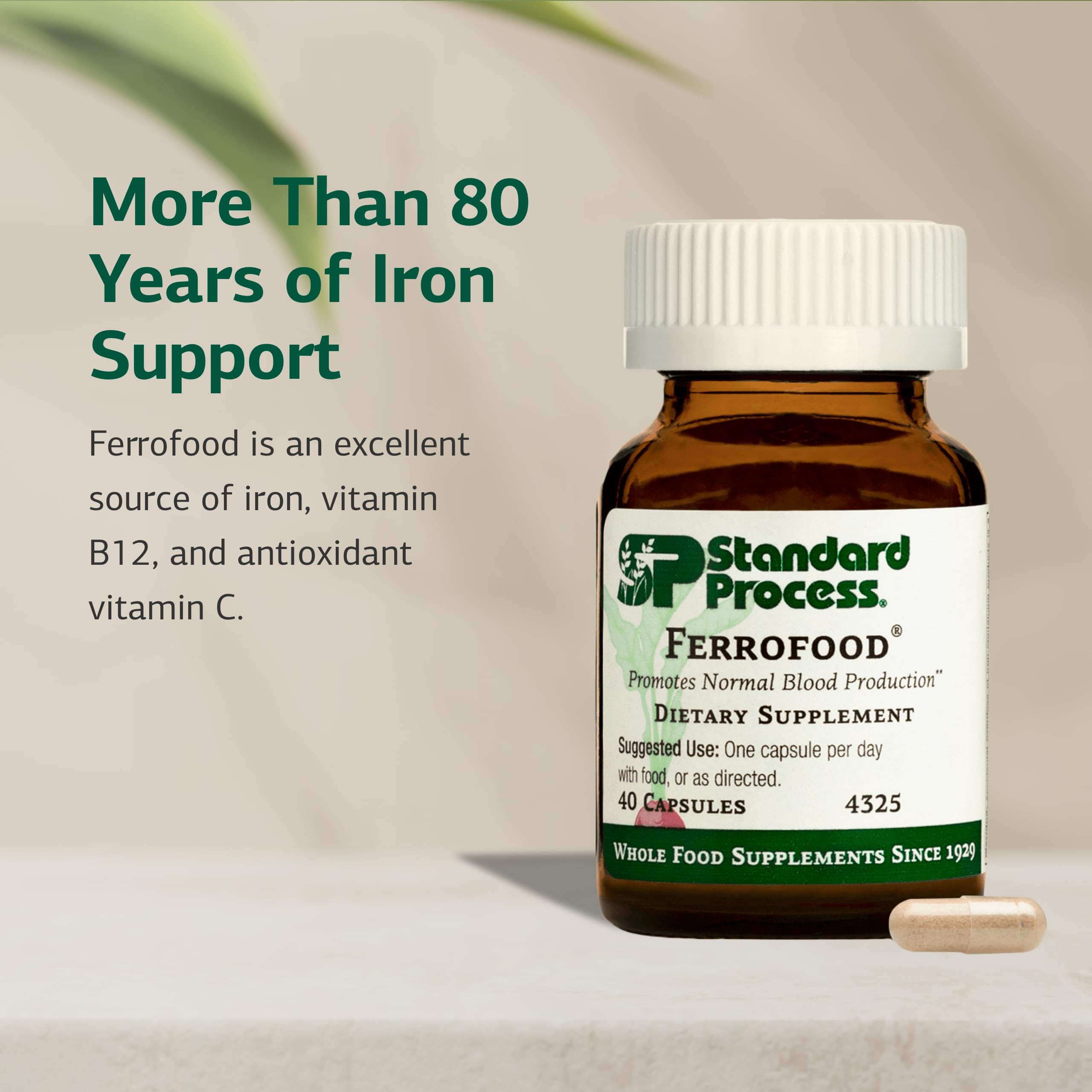 Ferrofood Iron Supplement – Supports Normal Blood Production (40 Capsules)