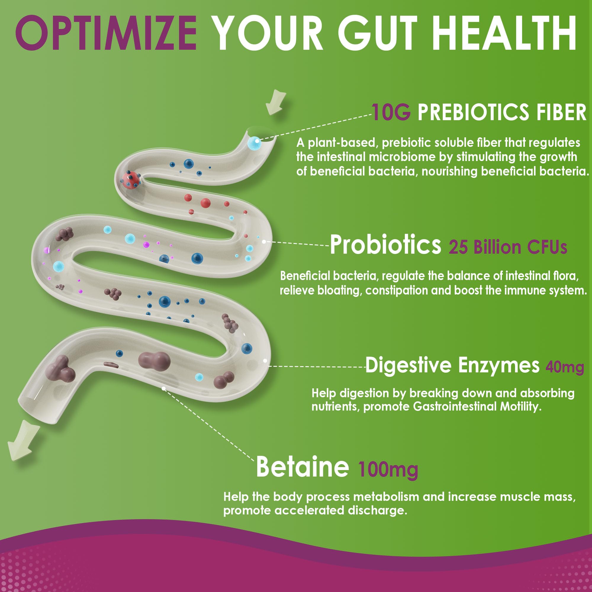Fiber Gummies for Adults – Sugar Free 10g Prebiotic Fiber, Probiotics & Enzymes (120ct) – Vegan