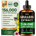 Fidus Mullein Drops – 7-Herb Lung Detox for Lungs & Lymphatics (4 oz)