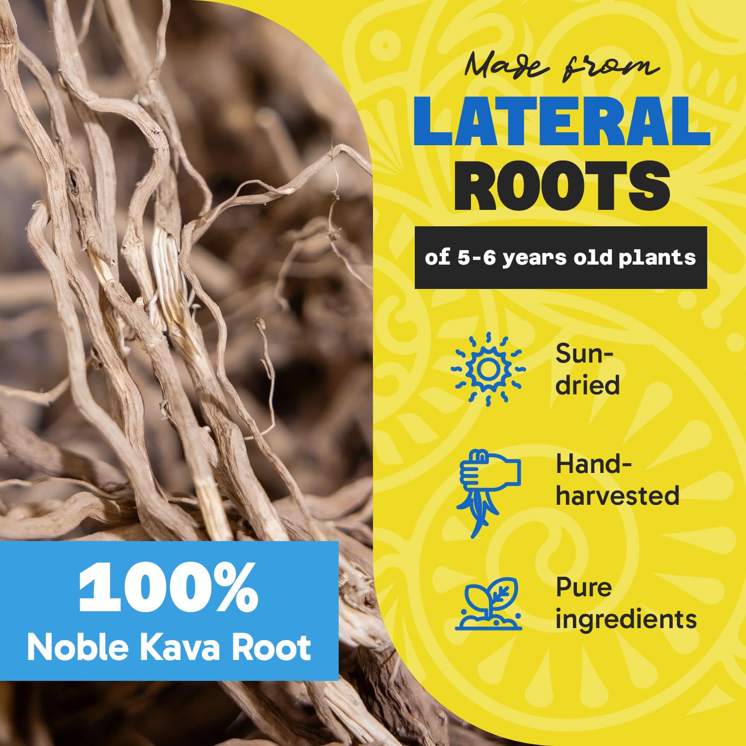 Fiji Vanua Kava Vanuatu Powder – Premium Noble Kava Root, Medium Grind, 16 oz