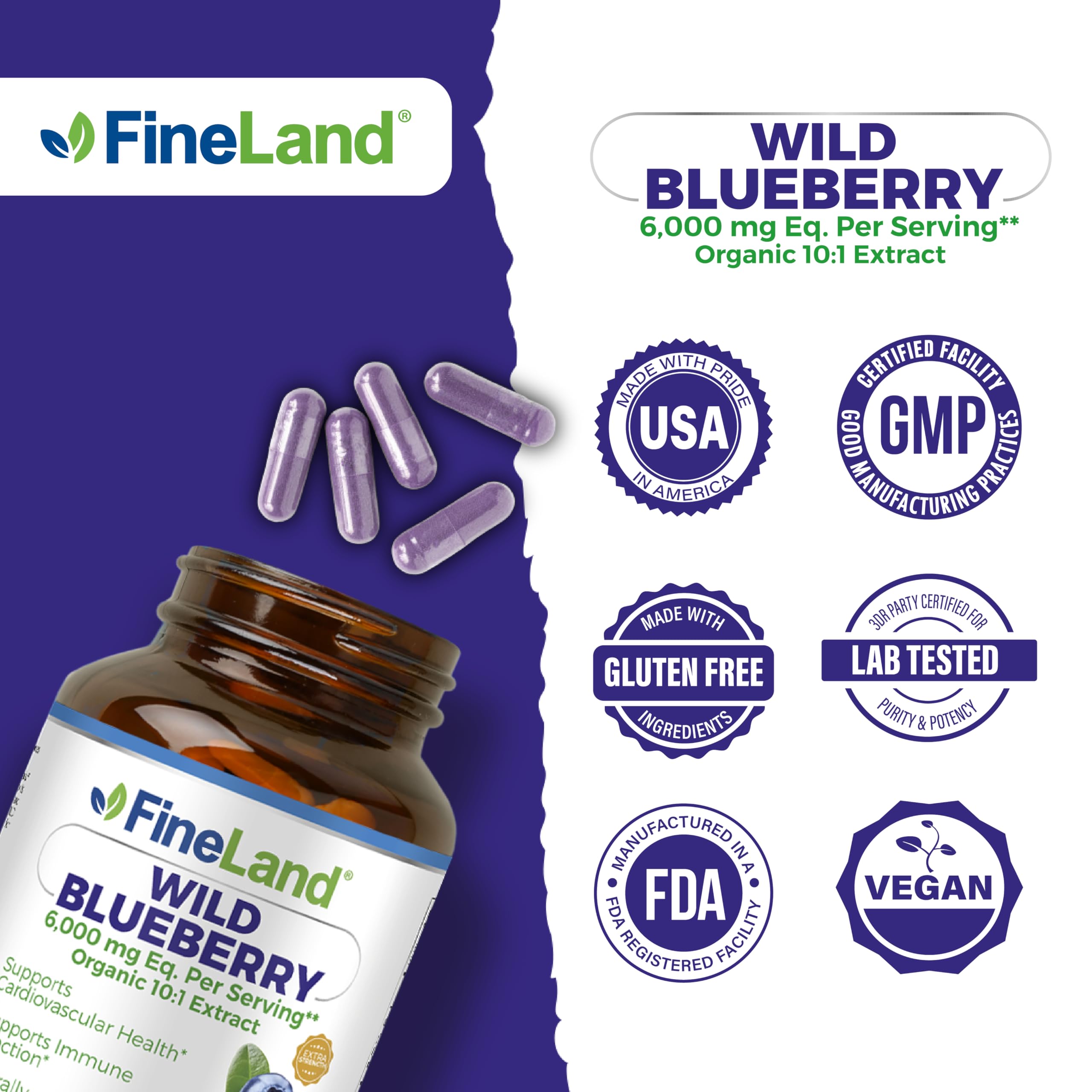 FineLand Wild Blueberry 10:1 Extract – 6,000 mg/Serving, 120 Vegan Capsules | Non-GMO, Made in USA