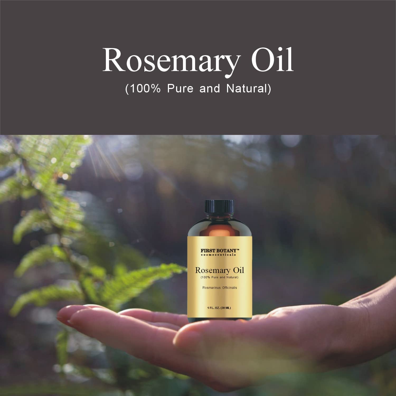 First Botany 100% Pure Rosemary Essential Oil – 1 fl oz for Aromatherapy, Massage & Household Use