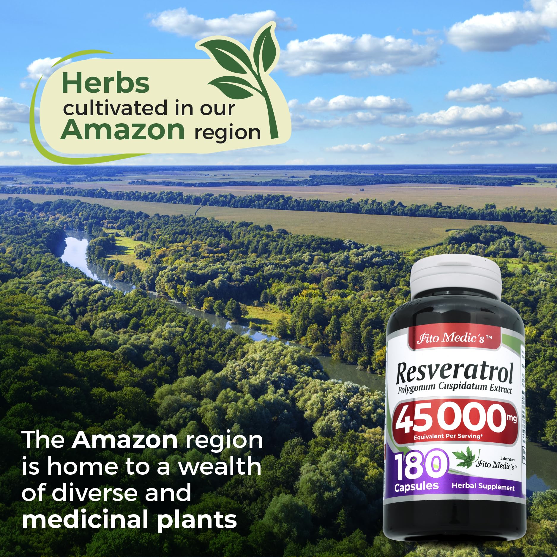 FITO MEDIC'S Lab Resveratrol 450 mg – 180 Count (Pack of 2) | 100:1 Extract