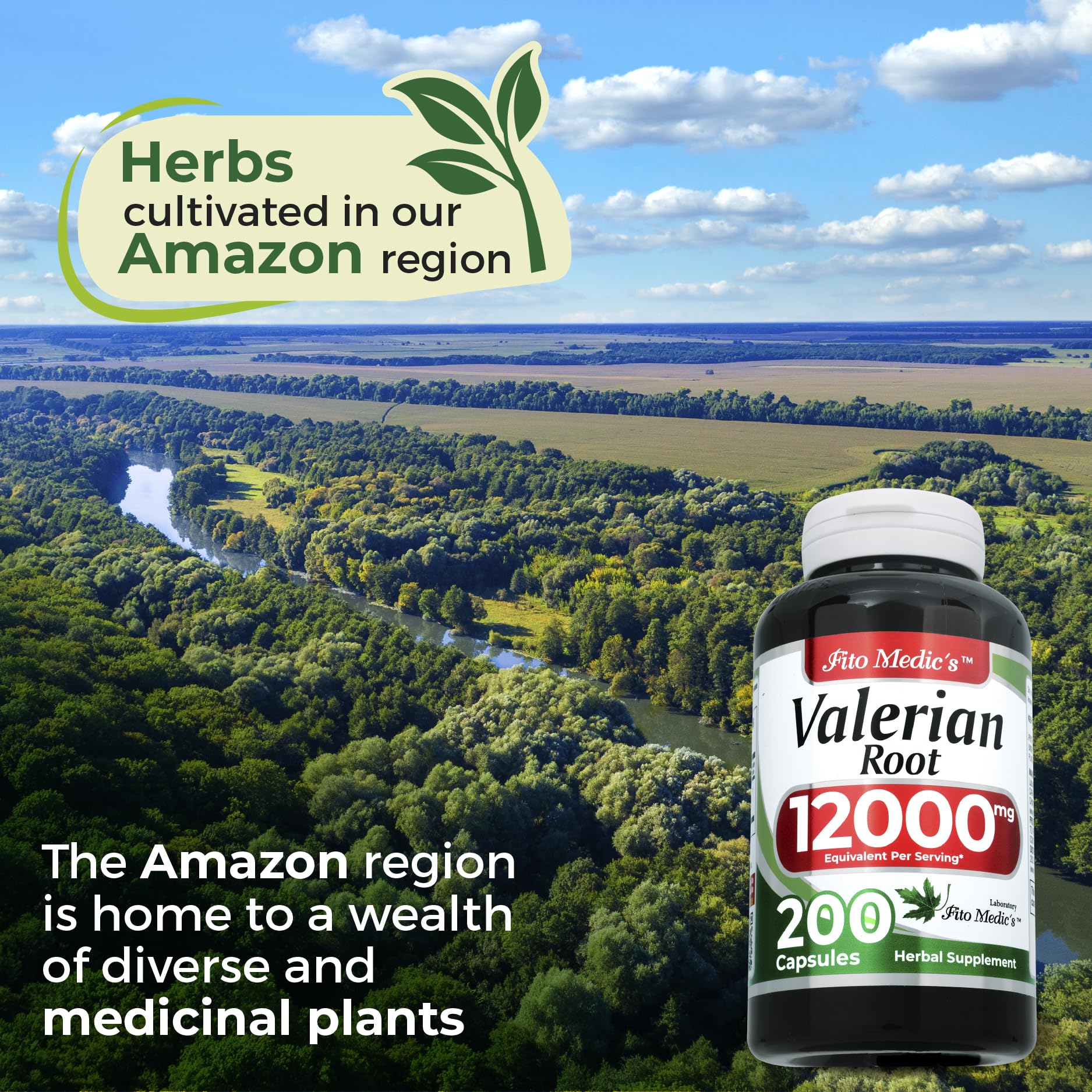 FITO MEDIC'S Lab Valerian Root Capsules – 200 Caps, 12000 mg (Pack of 2)
