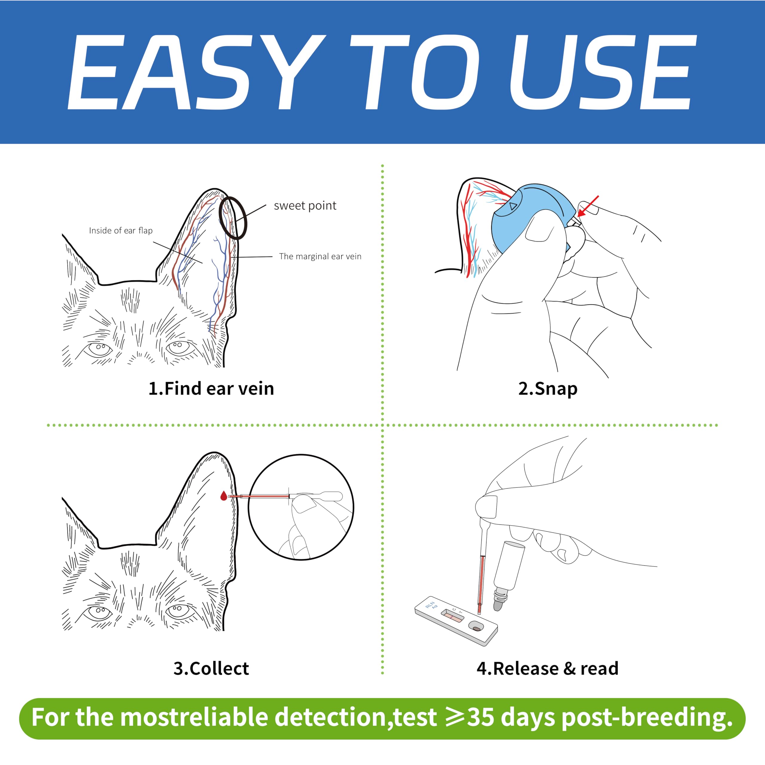 Dog Pregnancy Test Kit at Home - No Blood Draw, 5-Min Results, 98% Reliable