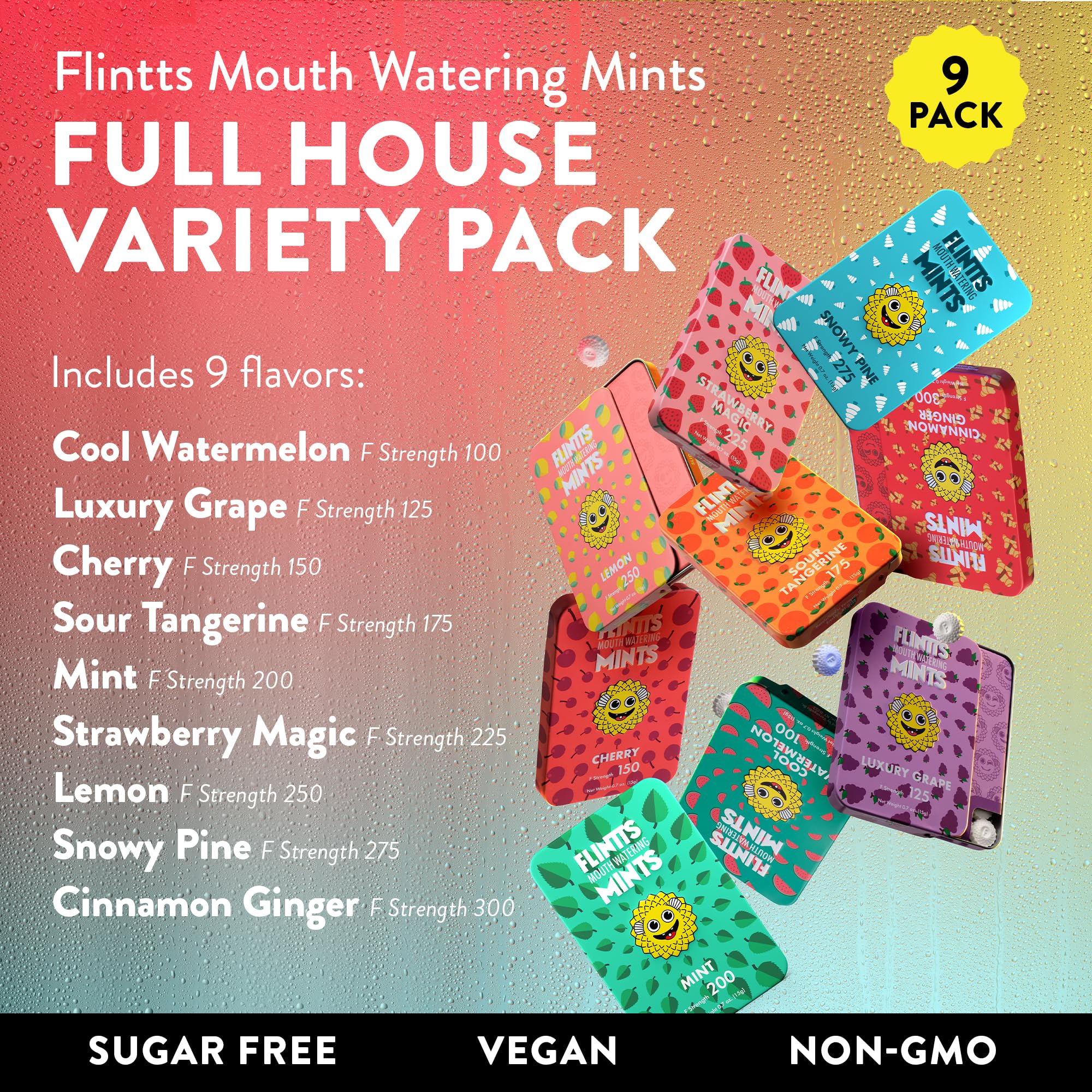 Flintts Mints Full House – Sugar Free Dry Mouth Mints for Fresh Breath | Vegan