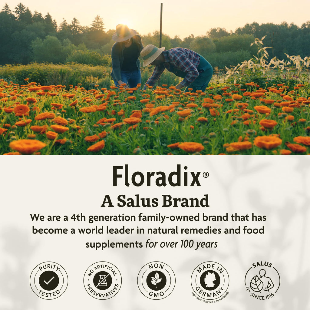 Floradix Iron & Herbs – Liquid Iron Supplement with Vitamin C & B Complex | 23.7 fl oz