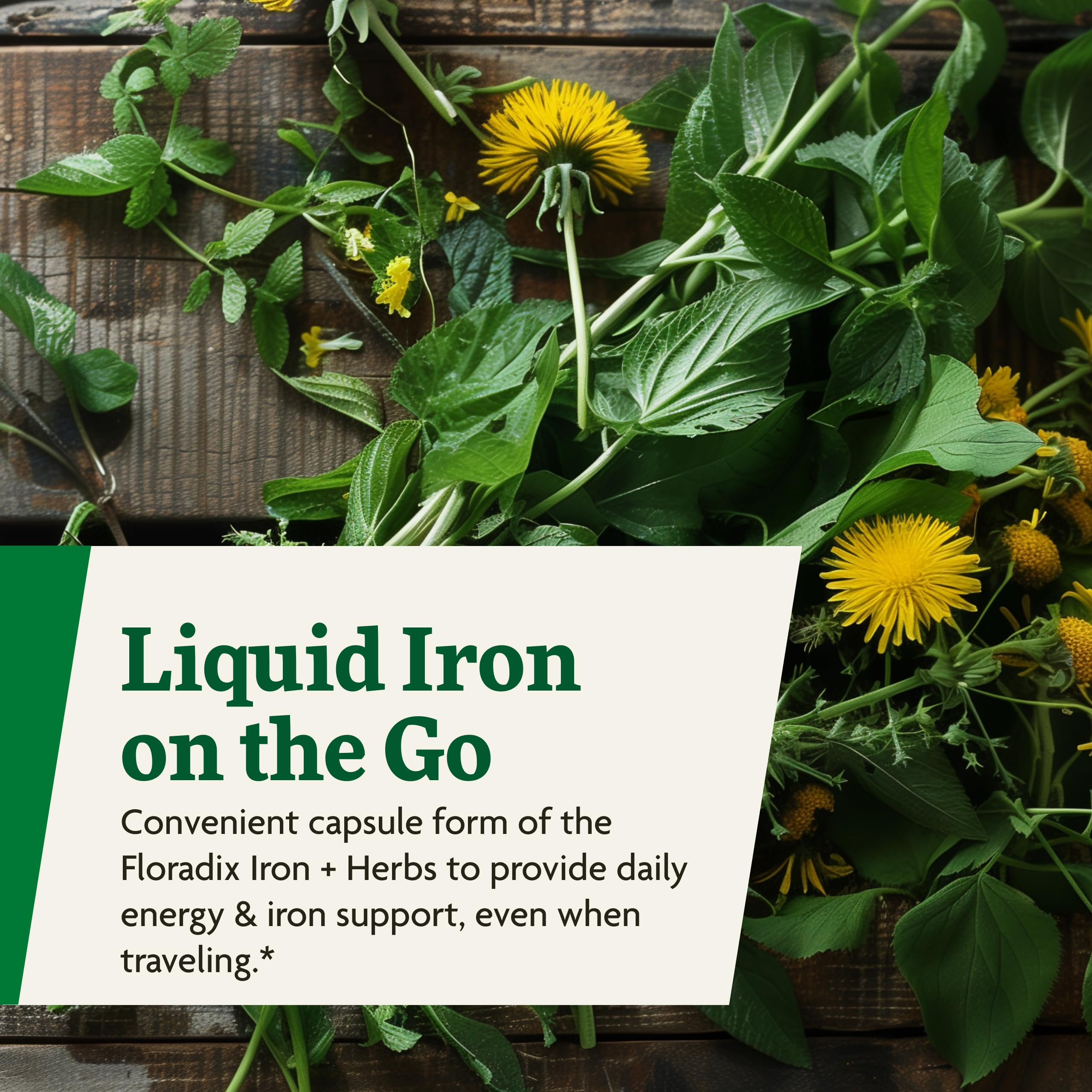 Floradix Iron + Herbs - Vegan Liquid Iron Supplement for Energy Support (60 Phyto-Caps) - Non-GMO, Gluten-Free, Soy-Free