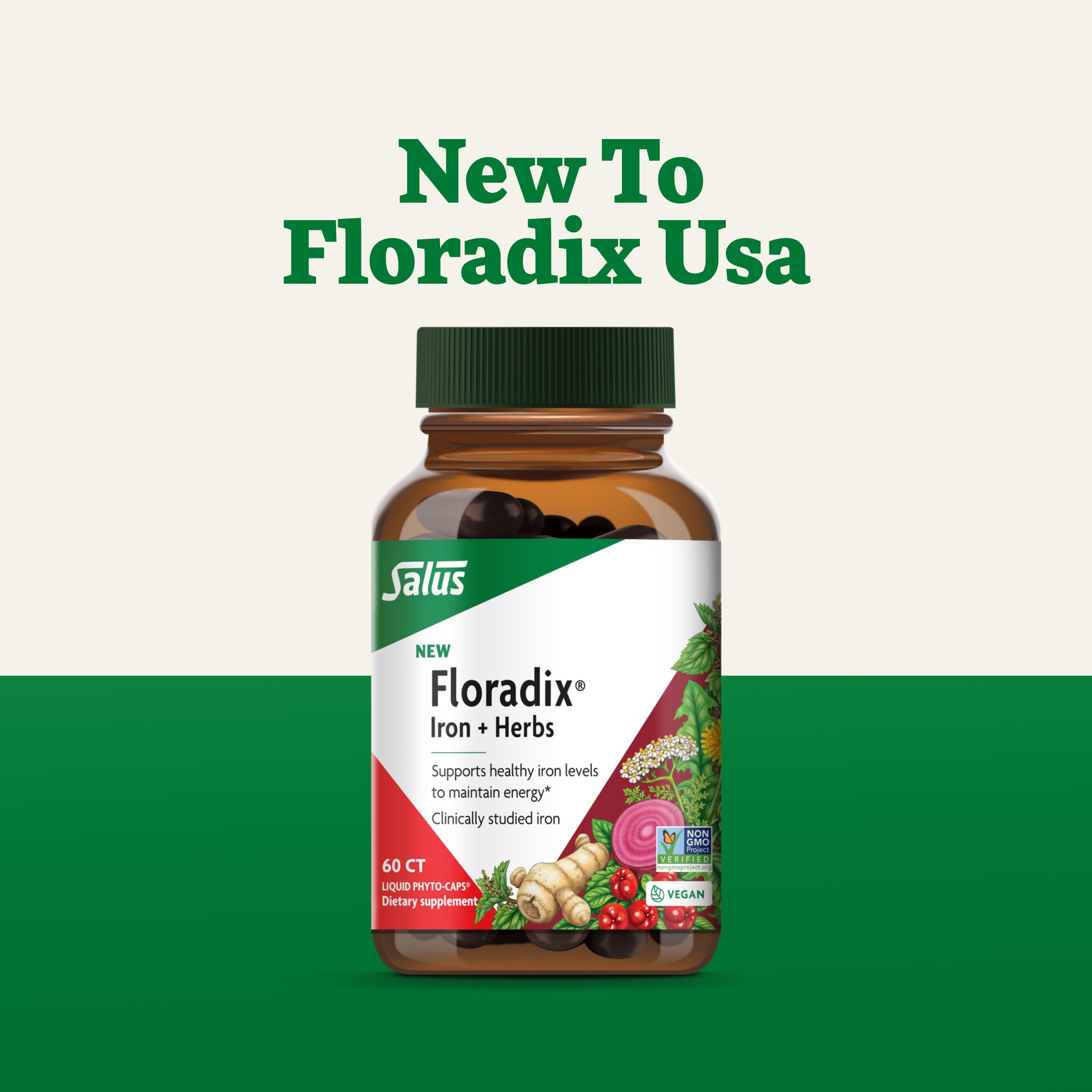 Floradix Iron + Herbs - Vegan Liquid Iron Supplement for Energy Support (60 Phyto-Caps) - Non-GMO, Gluten-Free, Soy-Free