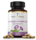 Florida Herbal Pharmacy | Convolvulus Arvensis Leaf Extract Capsules 10:1 (120 Capsules) - 500 mg per Capsule, 1000 mg Serving