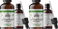 Organic Astragalus Tincture (Non-GMO) 700 mg - Florida Herbs, 2 oz Pack of 2
