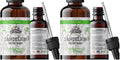 Florida Herbs Dandelion Root Tincture Organic - Non-GMO, Cold-Pressed Glycerin, 2 oz, 685 mg (Pack of 2)