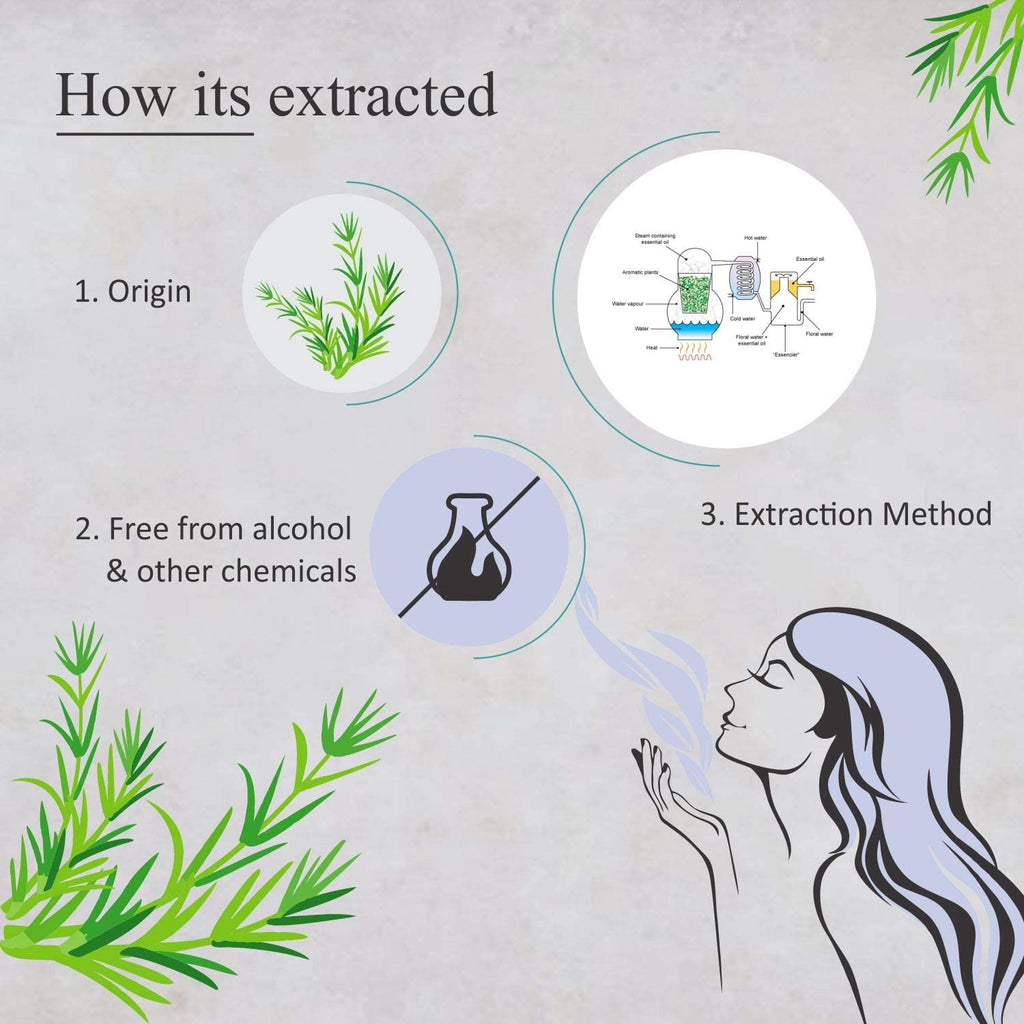 Florona Rosemary Essential Oil - 100% Pure & Natural, 4 oz | Hair & Skin Care, Aromatherapy