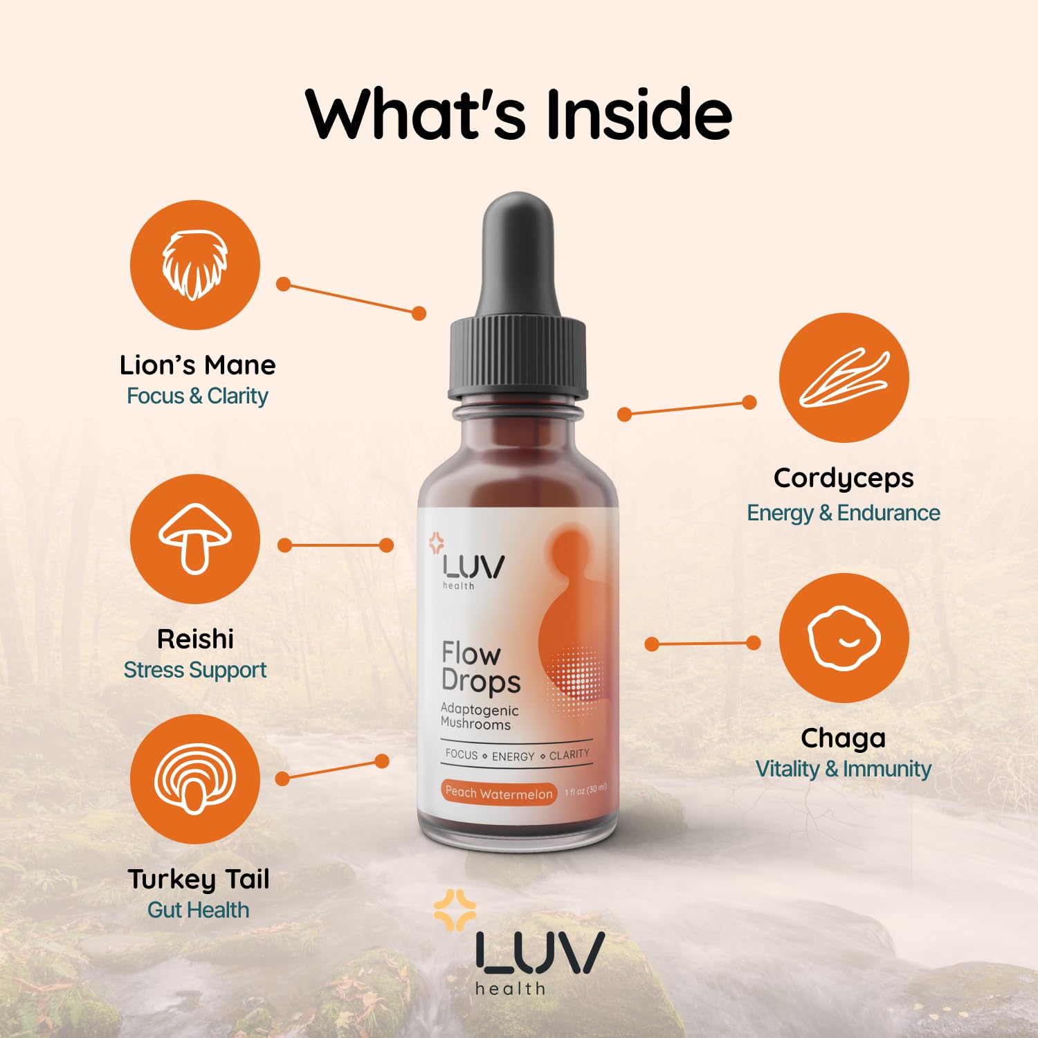 LUV health Flow Drops – Energy, Focus & Immune Support | Adaptogenic Mushrooms (Vegan, Made in USA)