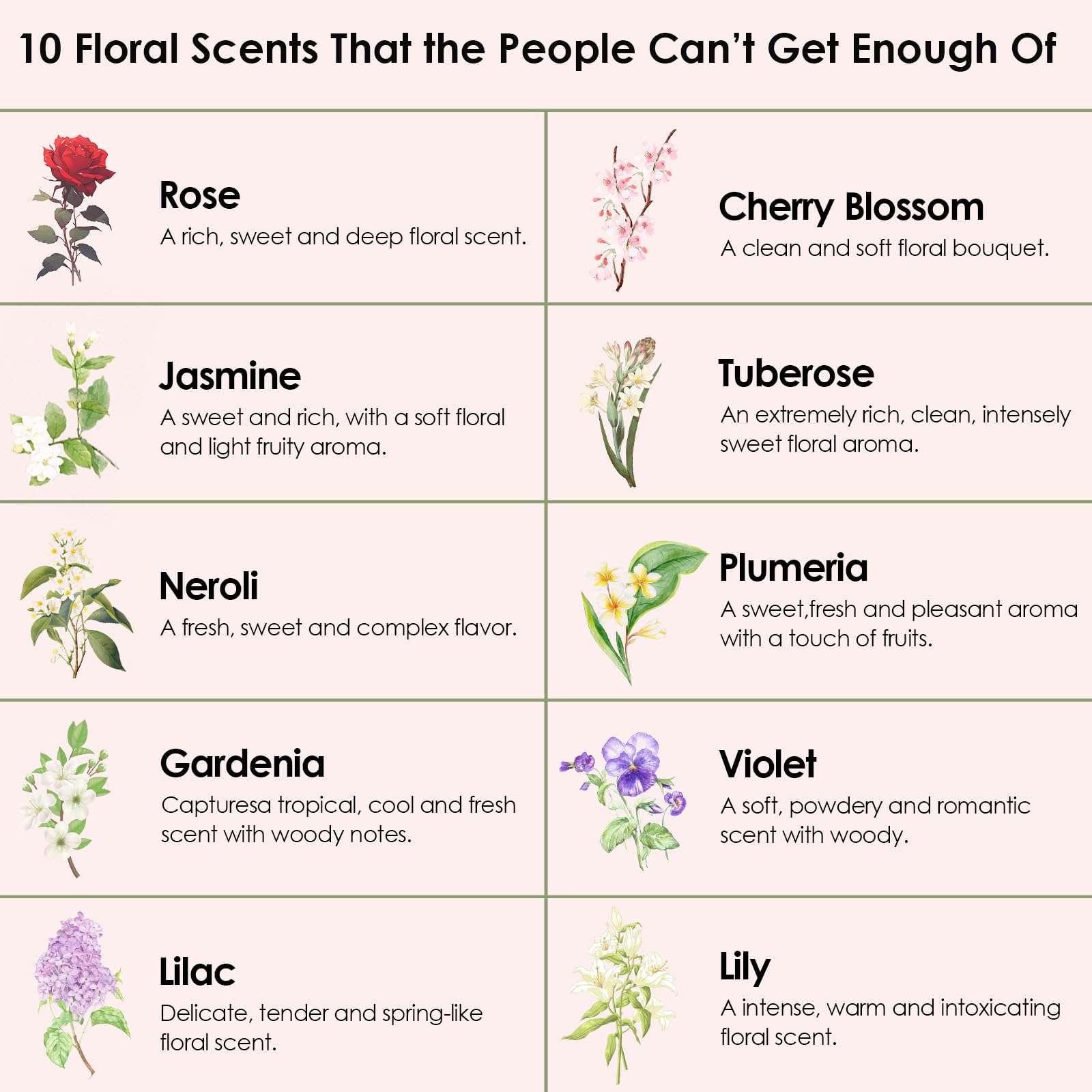 Floral Essential Oils Set - INWICOPH Flower Fragrance Oils for Candles & Diffusers