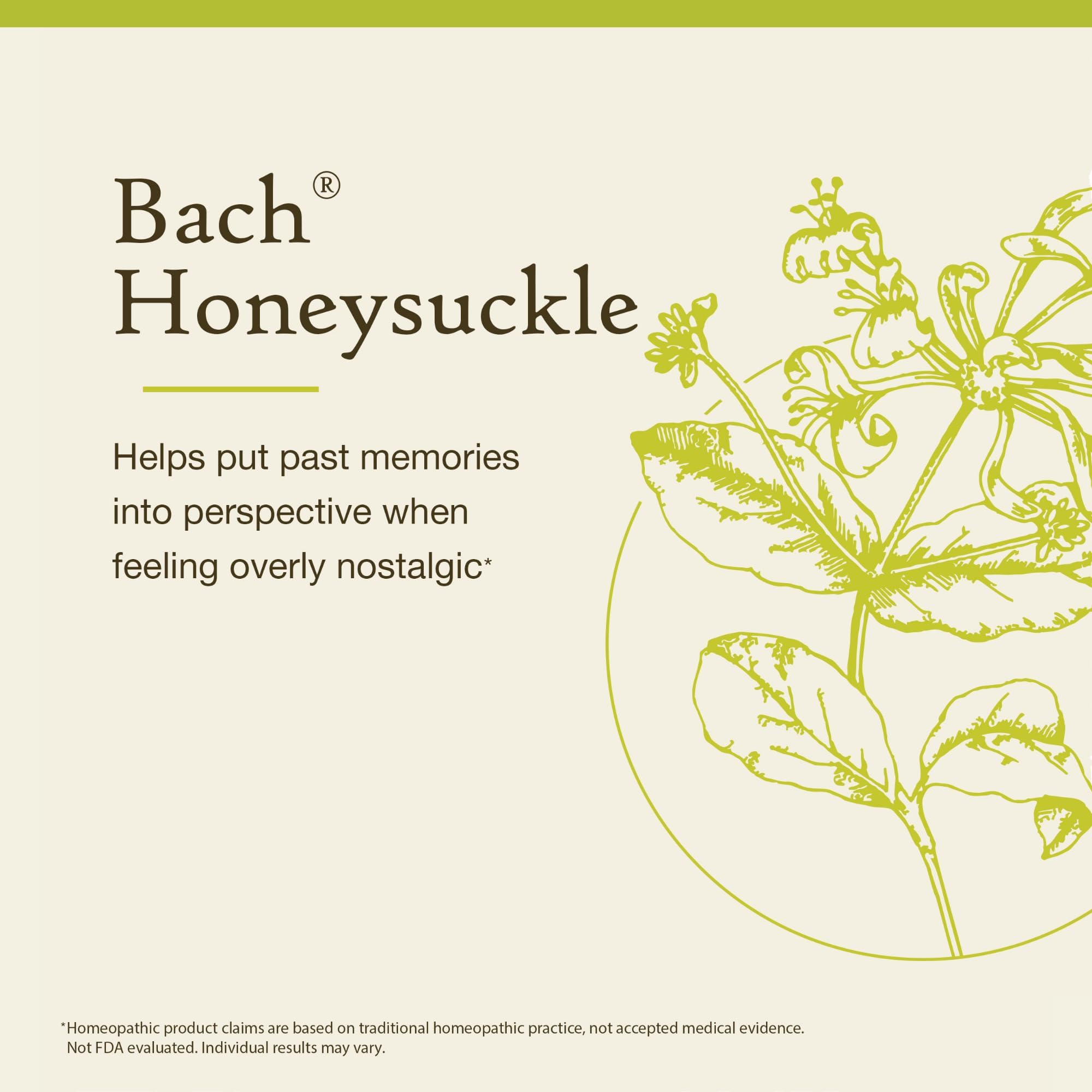 Bach Honeysuckle – Embrace The Now | Flower Remedy for Emotional Balance, 20mL
