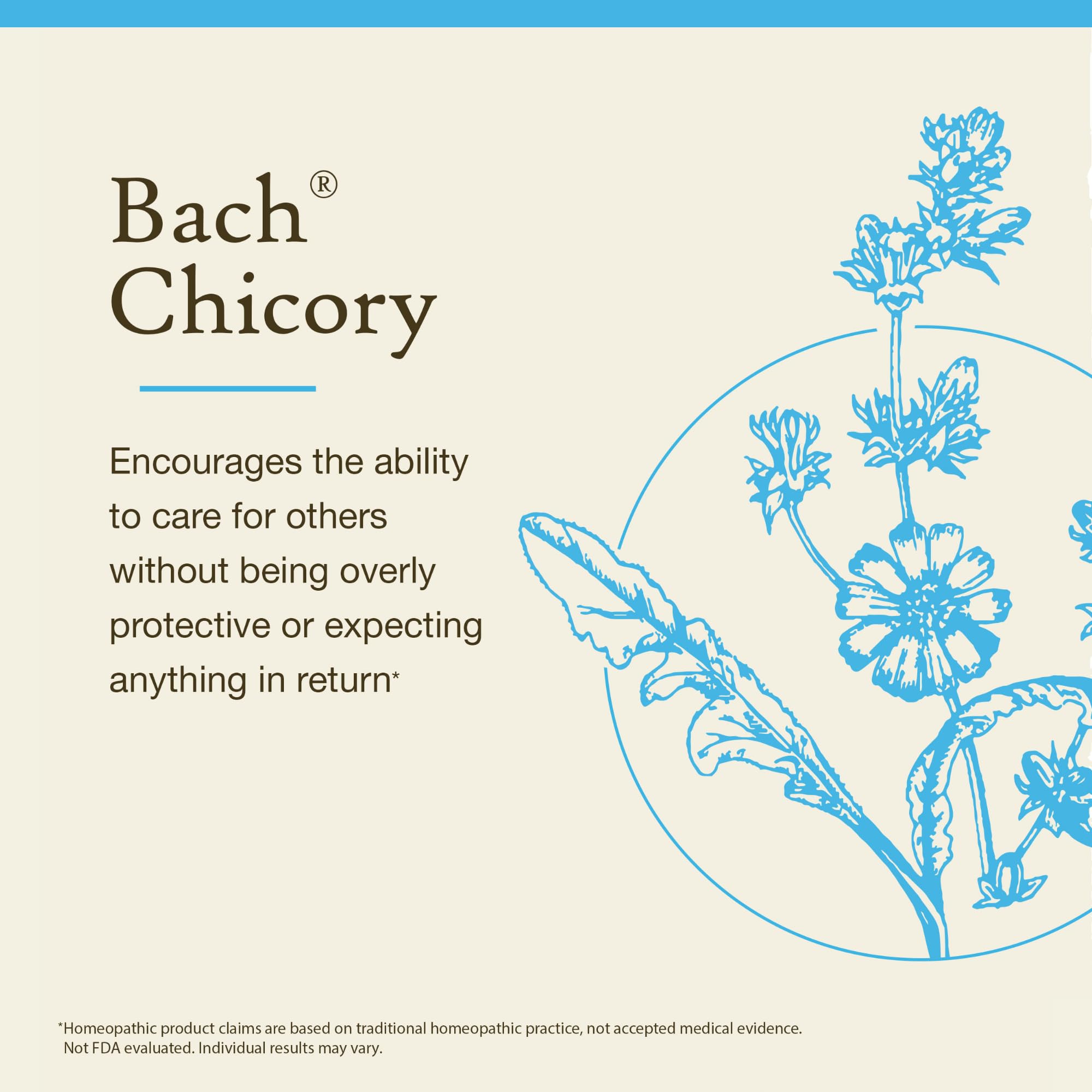 Bach Chicory – Love Unconditionally (20mL) – Original Flower Remedy (Vegan, GF, Sugar-Free)