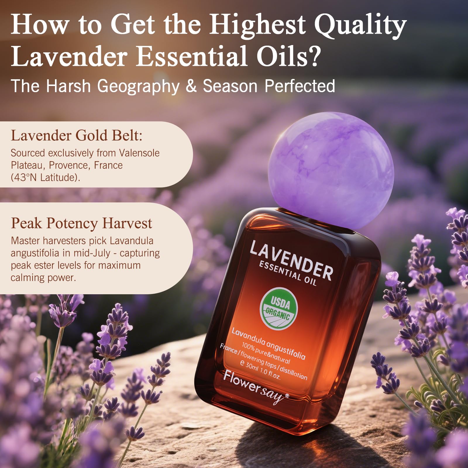 Flower Say Lavender Essential Oil 30ml | 100% Pure & USDA Organic