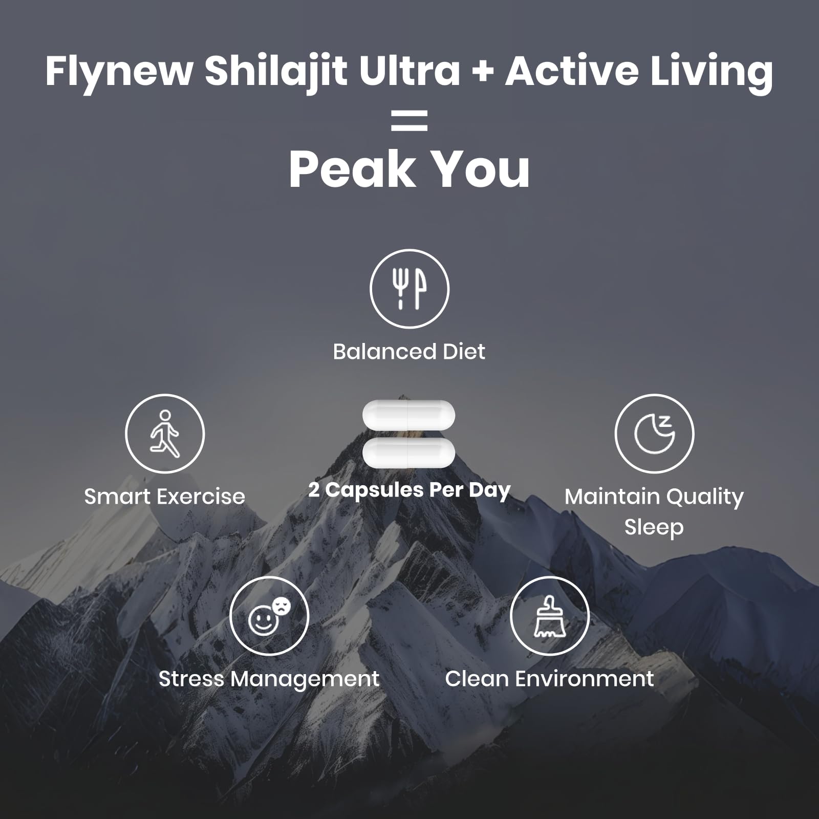 Flynew Shilajit — Premium Fulvic Acid Shilajit with L-Arginine, 60 Capsules, Made in USA